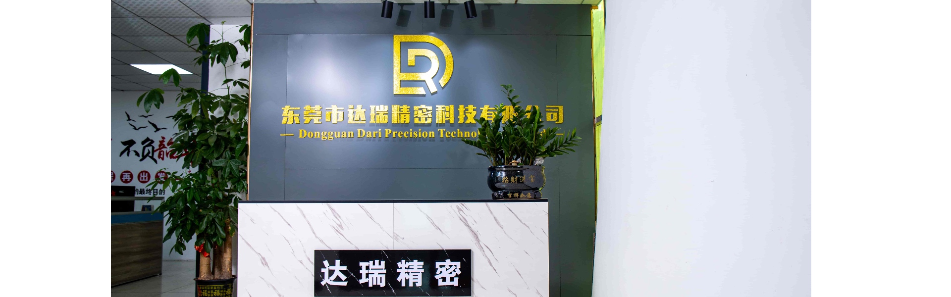 Műanyag öntőforma, fröccsöntés, műanyag héj,Dongguan Darui Precision Technology Co., Ltd.